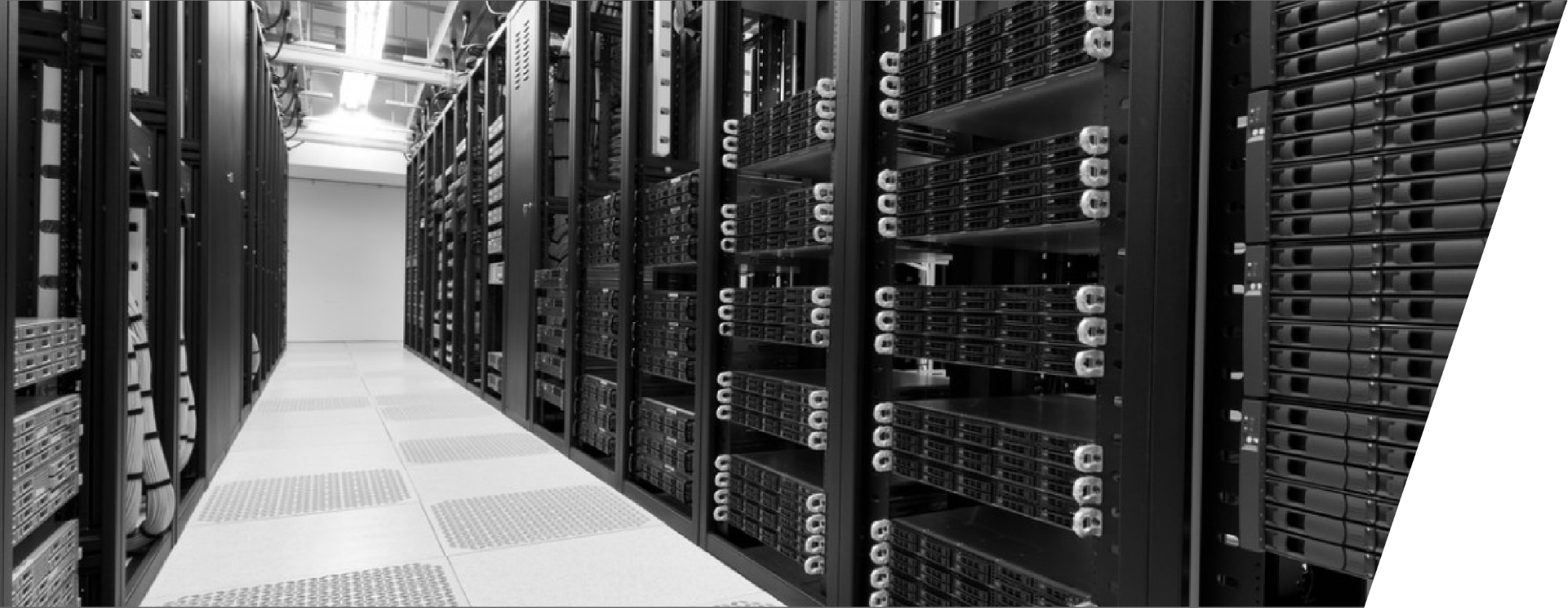 Workstation ve Server